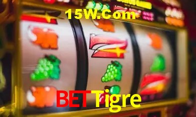 BeTTigre Salvador - Support